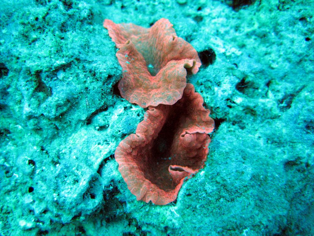 2008-11-08 12-13-38 S.JPG